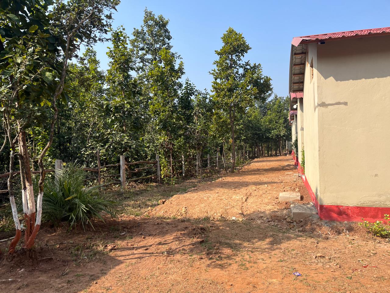 Luxury resort pool with palm trees at sunset